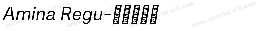 Amina Regu字体转换